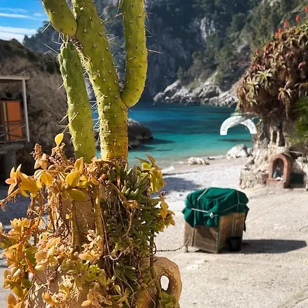 On The Nyaraló Capri